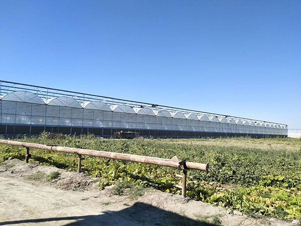 花卉薄膜智能大棚 金祥温室哪家好插图 花卉薄膜智能大棚 金祥温室哪家好插图