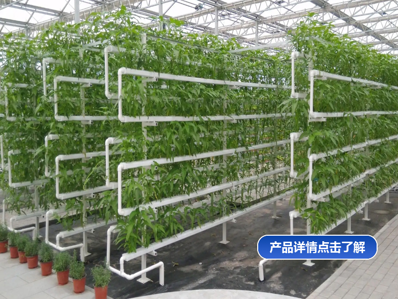 云南鱼菜共生供货厂家 金祥温室插图 云南鱼菜共生供货厂家 金祥温室插图
