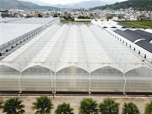 金祥温室 生态智能薄膜大棚定做厂家插图 金祥温室 生态智能薄膜大棚定做厂家插图