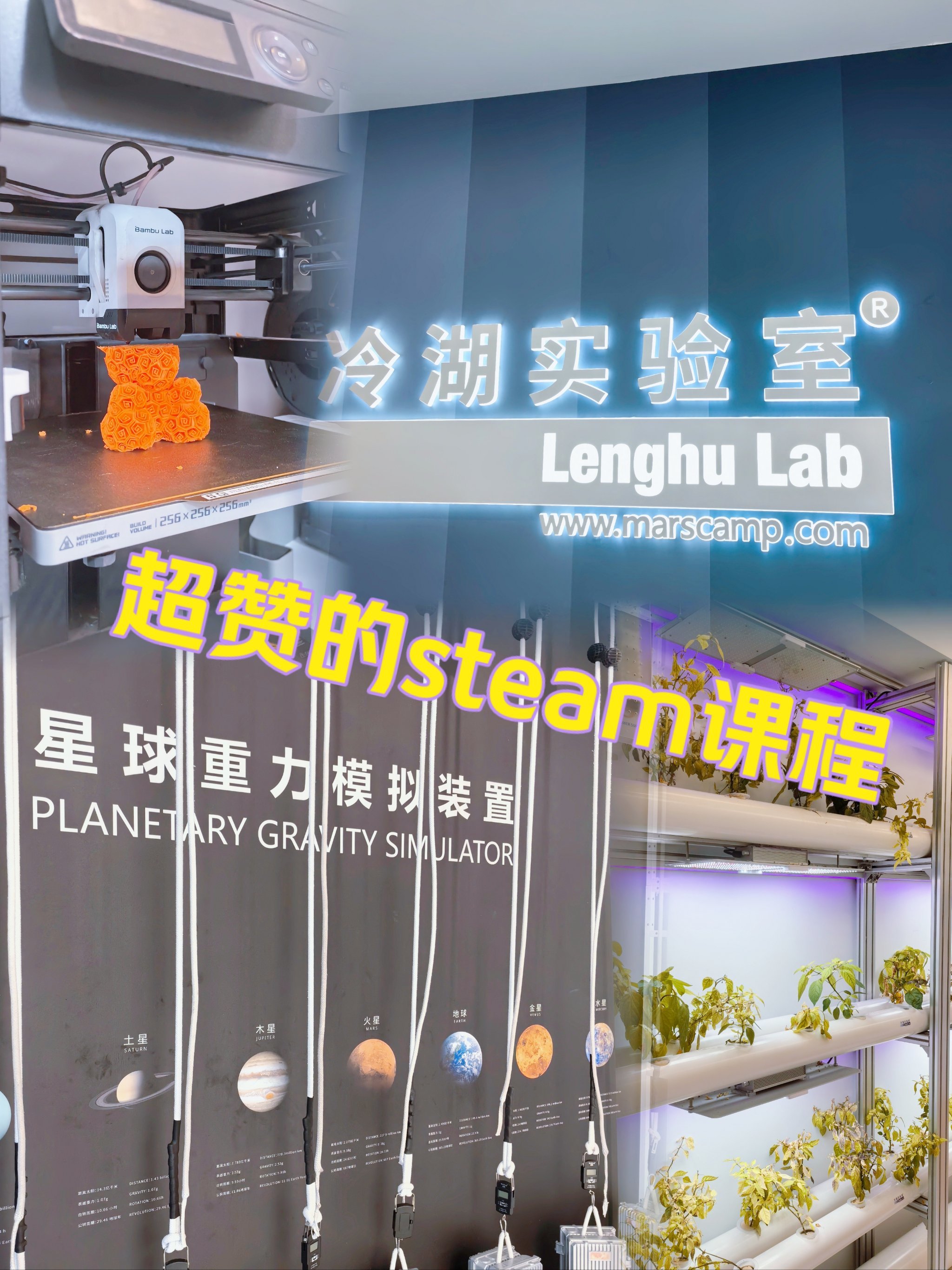 济南孩子课外班选择参考 冷湖实验室相关分析插图1 济南孩子课外班选择参考 冷湖实验室相关分析插图1