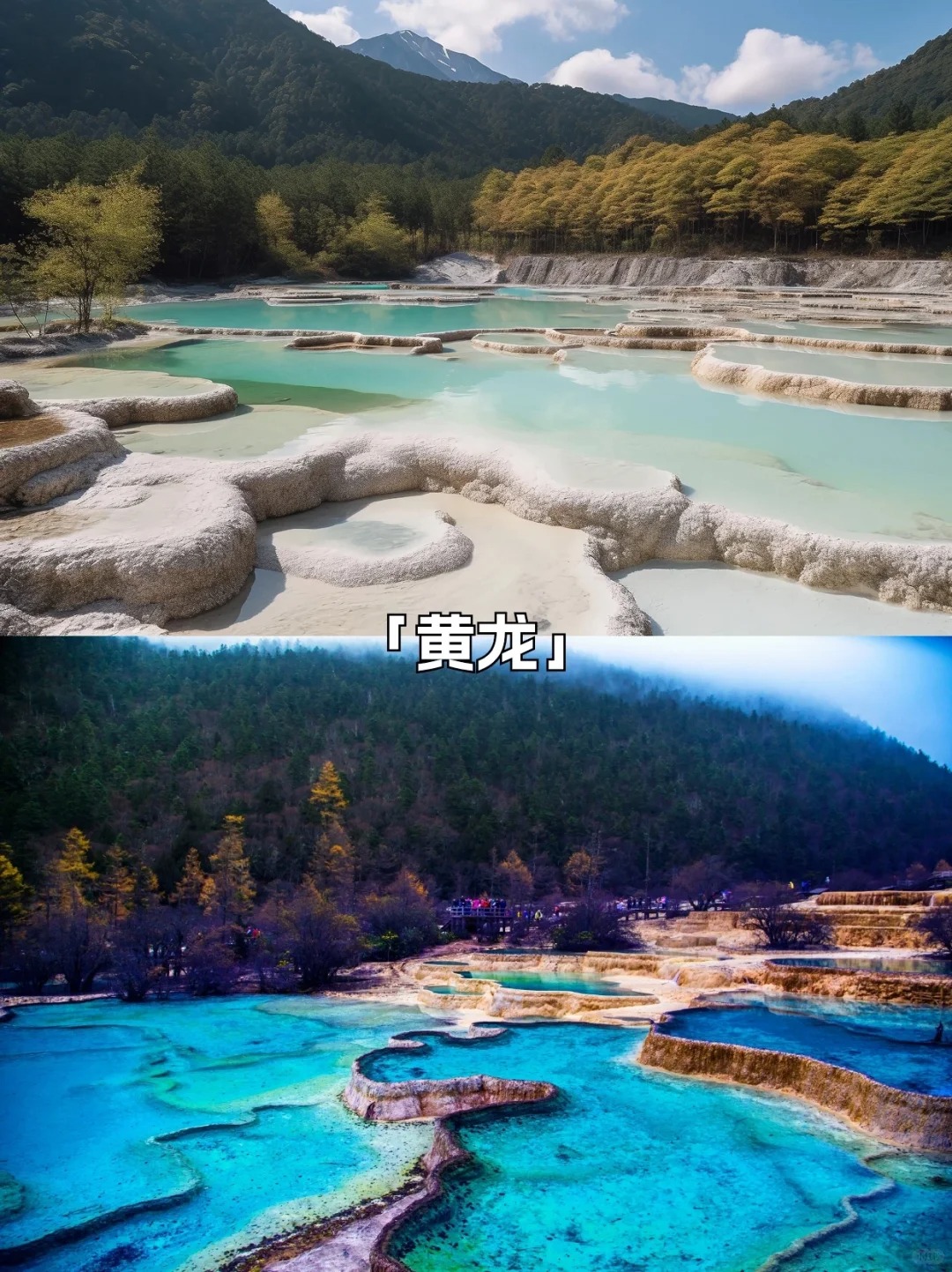 四川出发九寨沟黄龙跟团旅行社哪家好插图1 四川出发九寨沟黄龙跟团旅行社哪家好插图1