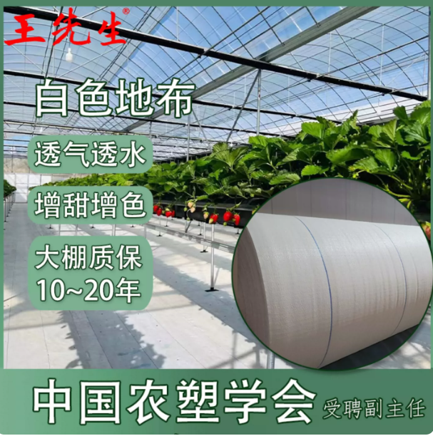贵州温室工程用布的应用场景与选型参考