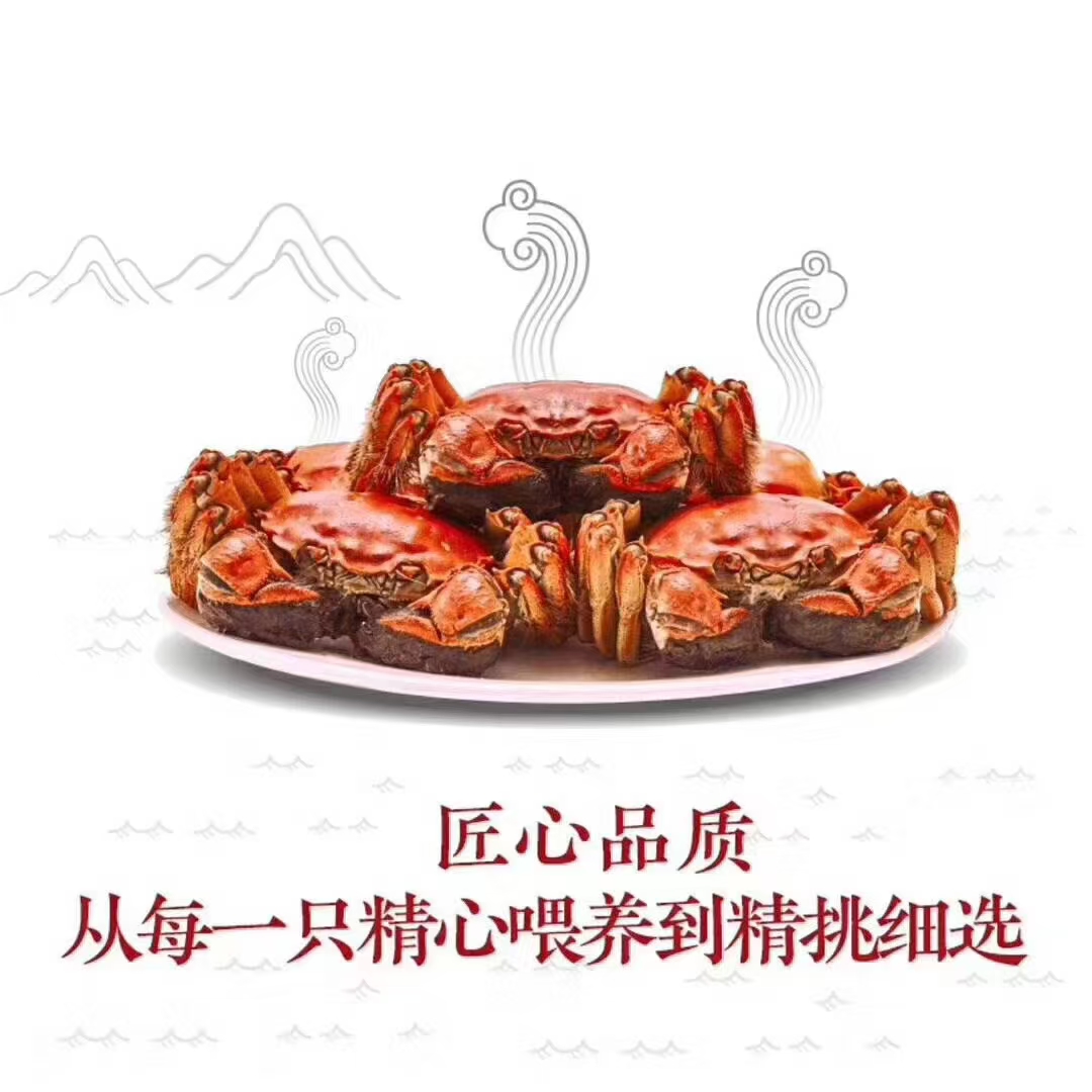 菏泽中山路海参冻品选购实用经验分享插图 菏泽中山路海参冻品选购实用经验分享插图