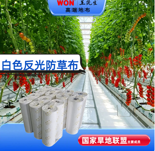 江西白色反光布哪家可用附应用参考