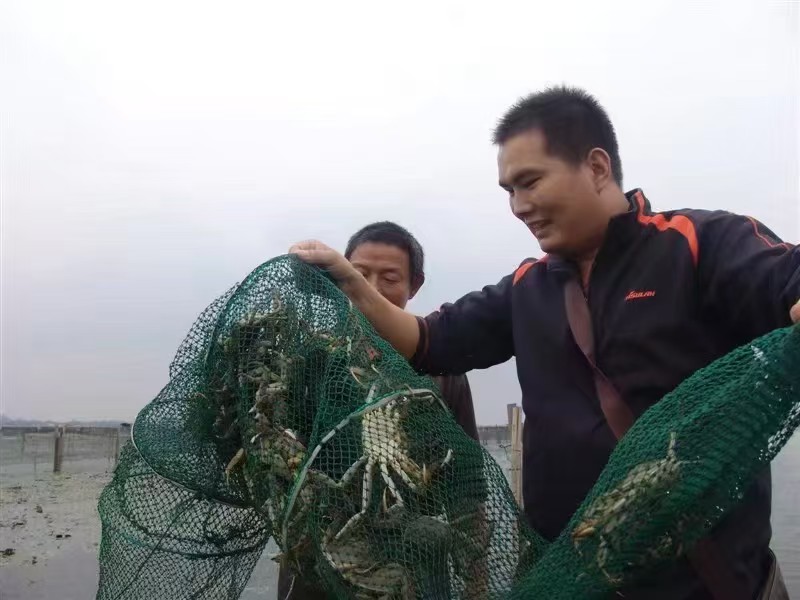中山路海鲜礼品盒 蟹都汇相关选择指南插图 中山路海鲜礼品盒 蟹都汇相关选择指南插图