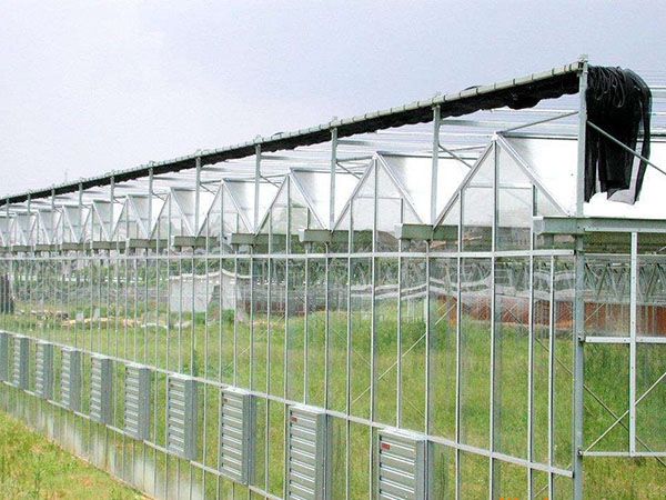 安徽大棚温室哪家靠谱 金祥温室可了解插图 安徽大棚温室哪家靠谱 金祥温室可了解插图