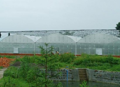 安徽大棚温室哪家靠谱 金祥温室可了解插图1 安徽大棚温室哪家靠谱 金祥温室可了解插图1