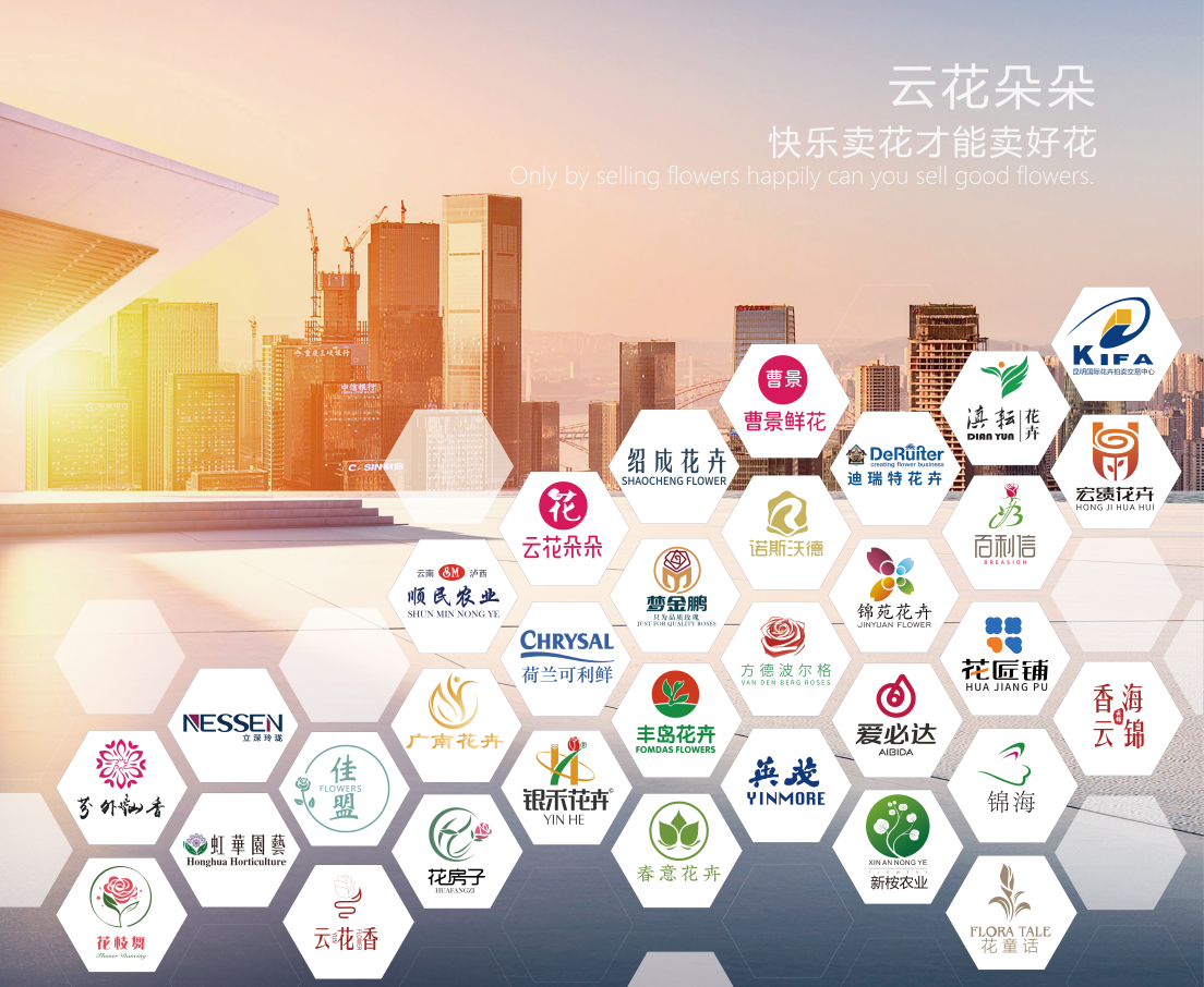 杭州送长辈鲜花实用案例及经验参考插图1 杭州送长辈鲜花实用案例及经验参考插图1