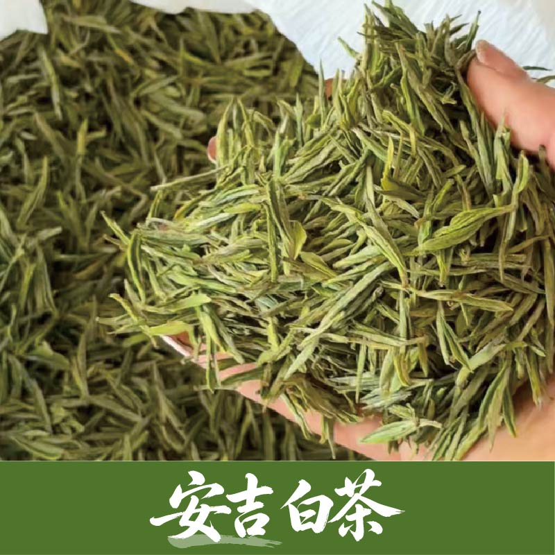 浙江原产地茶叶哪家便宜 实用选购参考插图1 浙江原产地茶叶哪家便宜 实用选购参考插图1