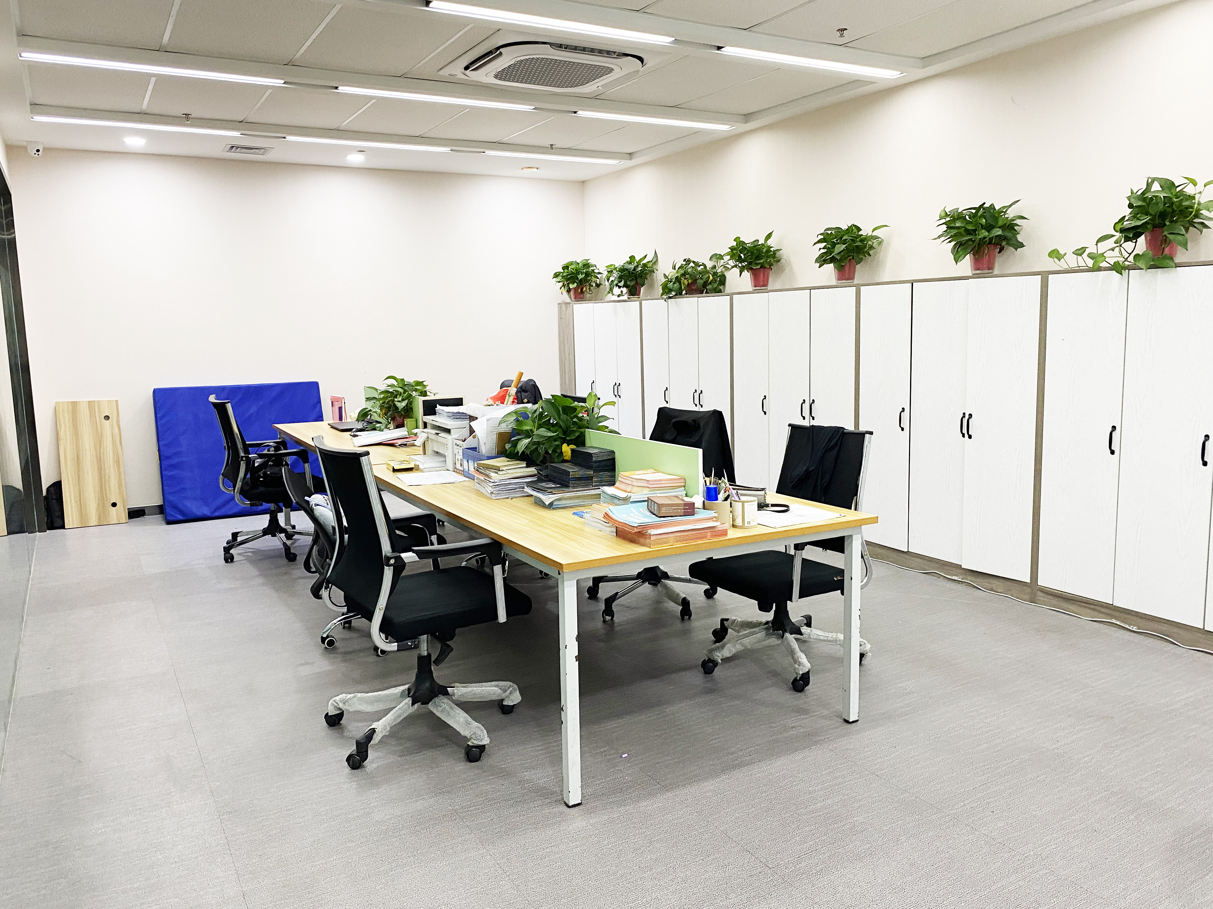 济南历下寒假艺考集训去哪学更合适插图 济南历下寒假艺考集训去哪学更合适插图