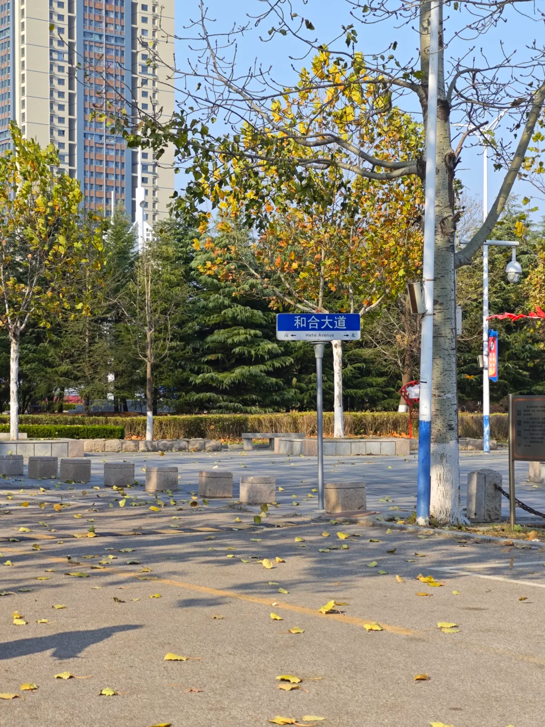 山东靠海环境好的大学实用选校参考插图 山东靠海环境好的大学实用选校参考插图