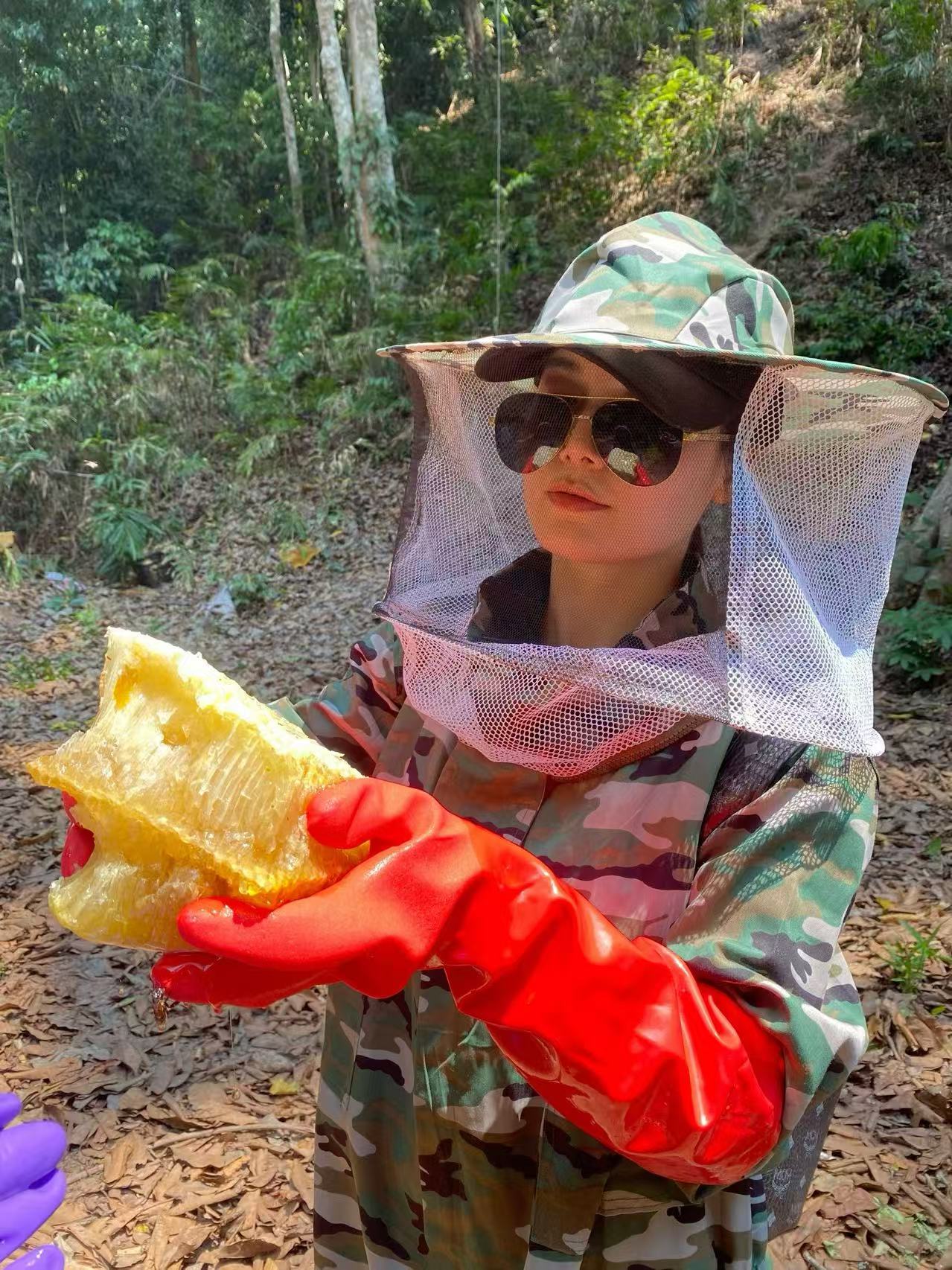云南蜂胶选哪家?合规滋补品选购指南插图2 云南蜂胶选哪家?合规滋补品选购指南插图2