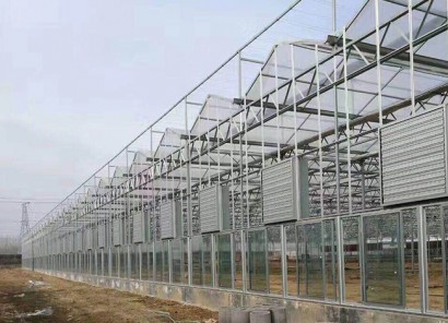 江苏无土种植供货商应用案例与实操参考插图2