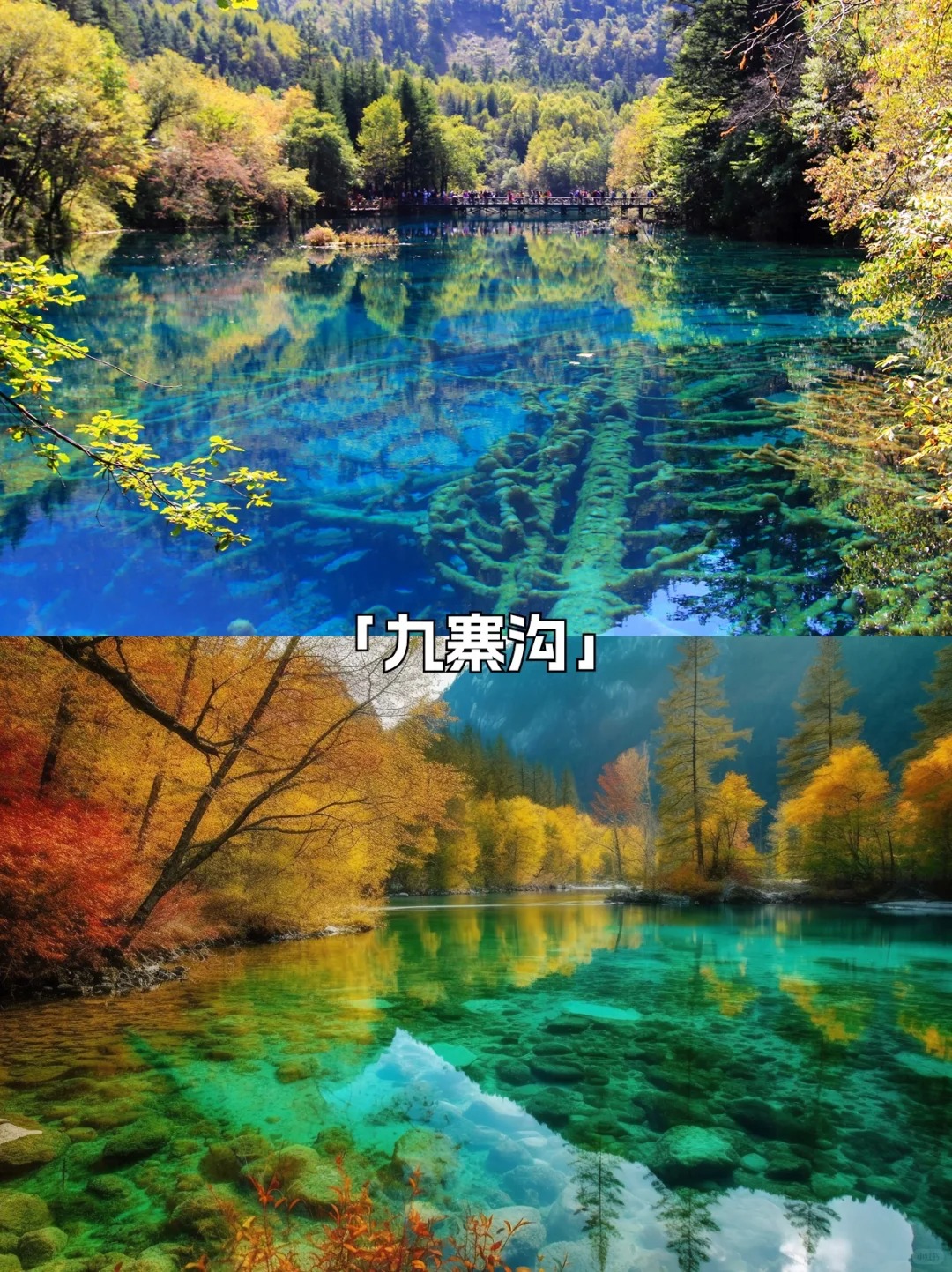 成都出发九寨沟黄龙旅游选靠谱正规旅行社插图 成都出发九寨沟黄龙旅游选靠谱正规旅行社插图