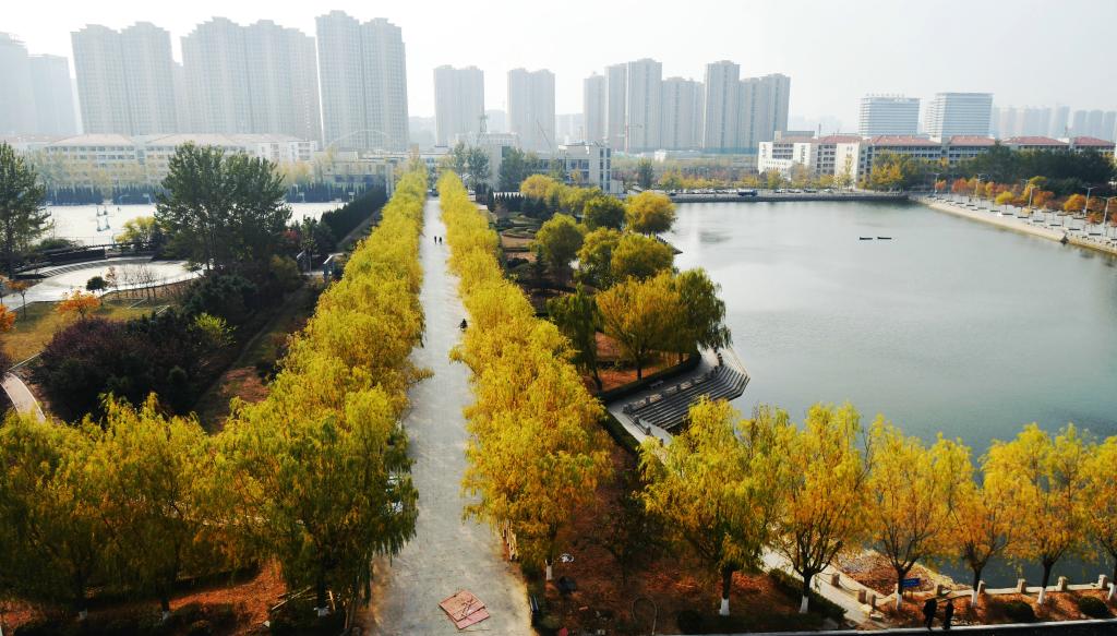 山东跨境电商专业如何选 助力学业规划避坑指南插图