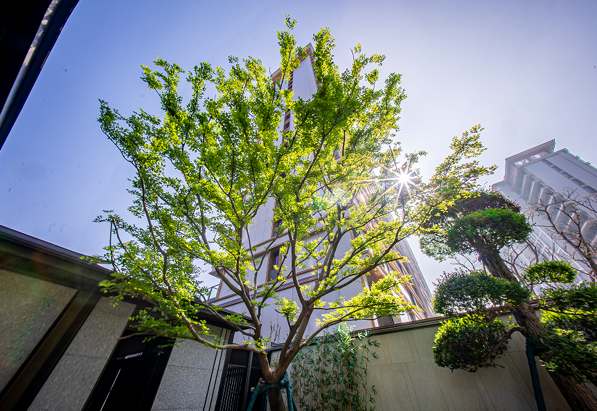 菏泽太原路新楼盘选择参考与落地经验分享插图 菏泽太原路新楼盘选择参考与落地经验分享插图