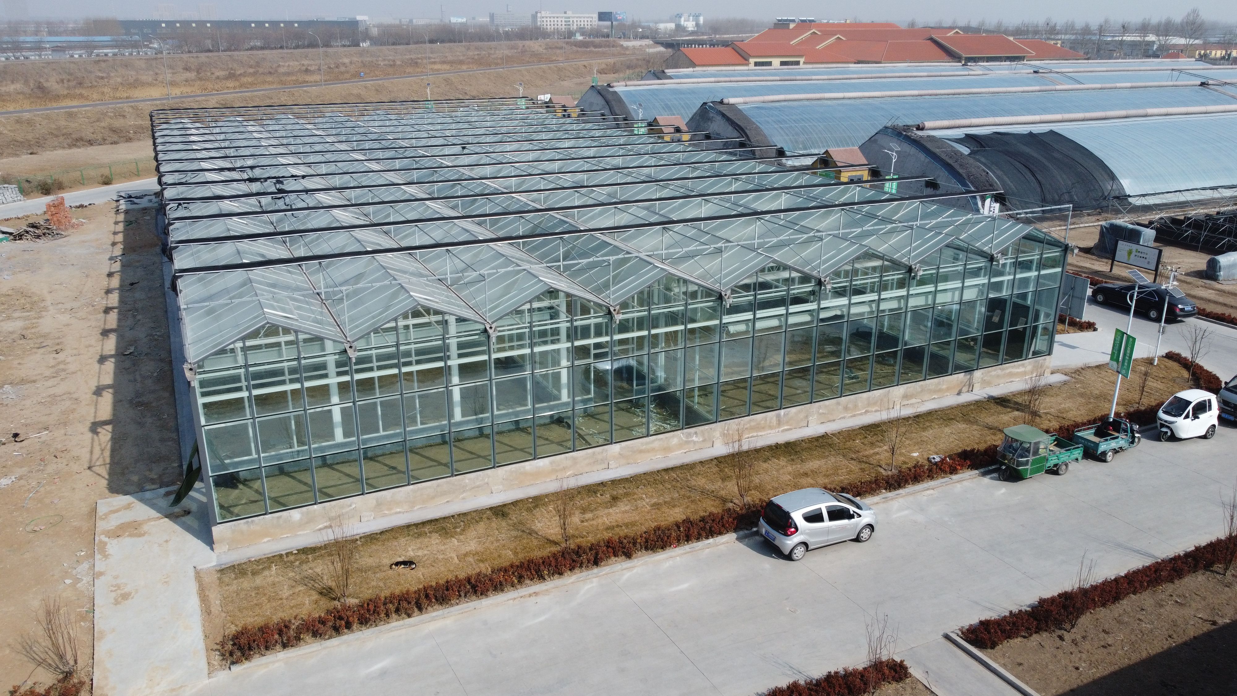 江苏无土种植供货商应用案例与实操参考插图1