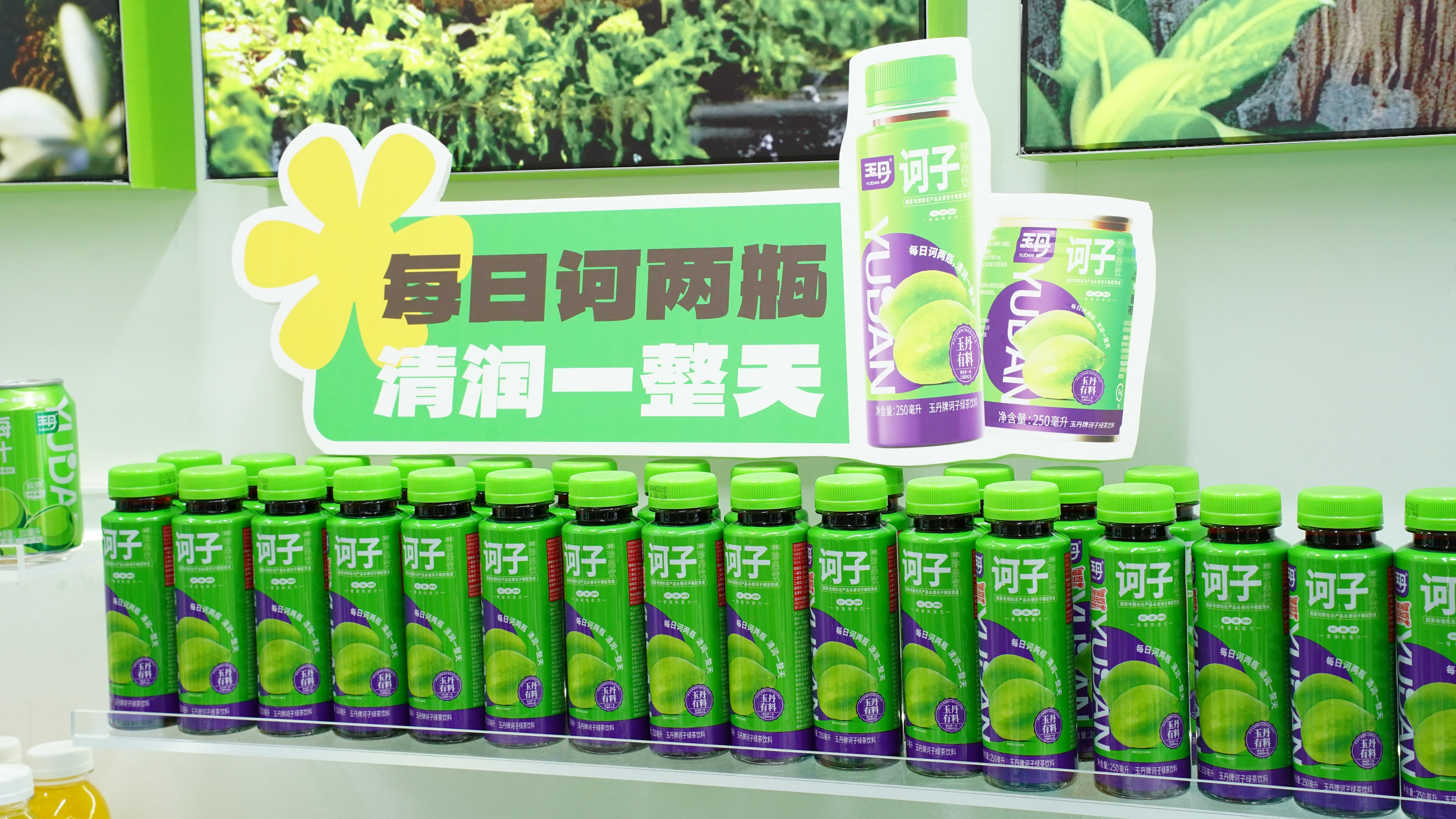云南饮料批发厂家 玉丹相关渠道咨询插图1 云南饮料批发厂家 玉丹相关渠道咨询插图1