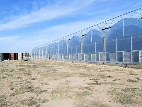 节能智能温室订做厂家提供一站式搭建服务插图1 节能智能温室订做厂家提供一站式搭建服务插图1
