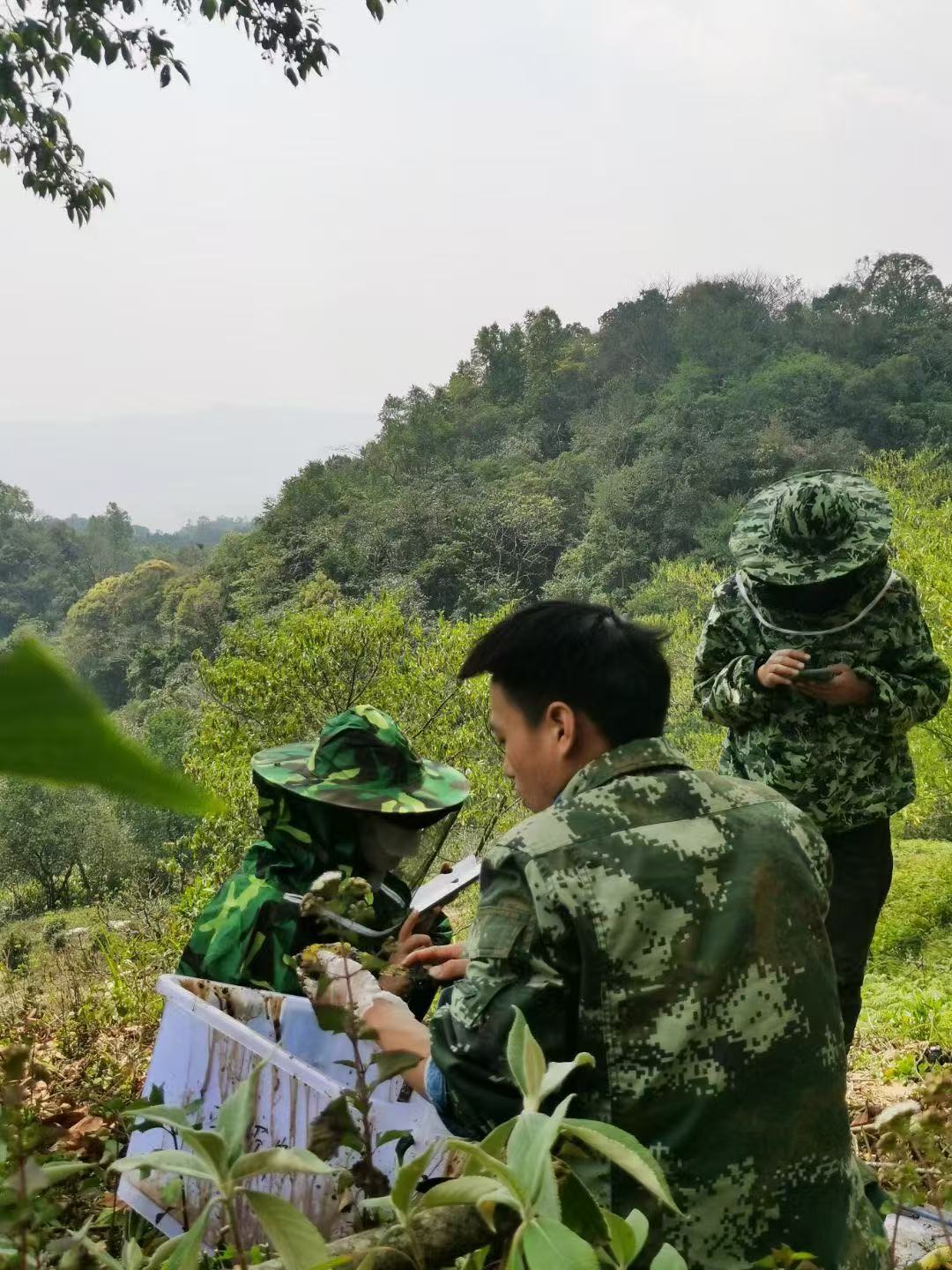 云南土蜂蜜哪家专业 优质滋补品推荐插图1 云南土蜂蜜哪家专业 优质滋补品推荐插图1