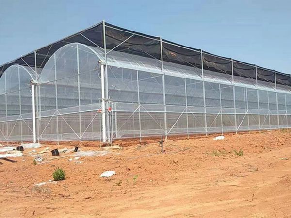 内蒙智能薄膜温室搭建与运维服务怎么选插图2 内蒙智能薄膜温室搭建与运维服务怎么选插图2