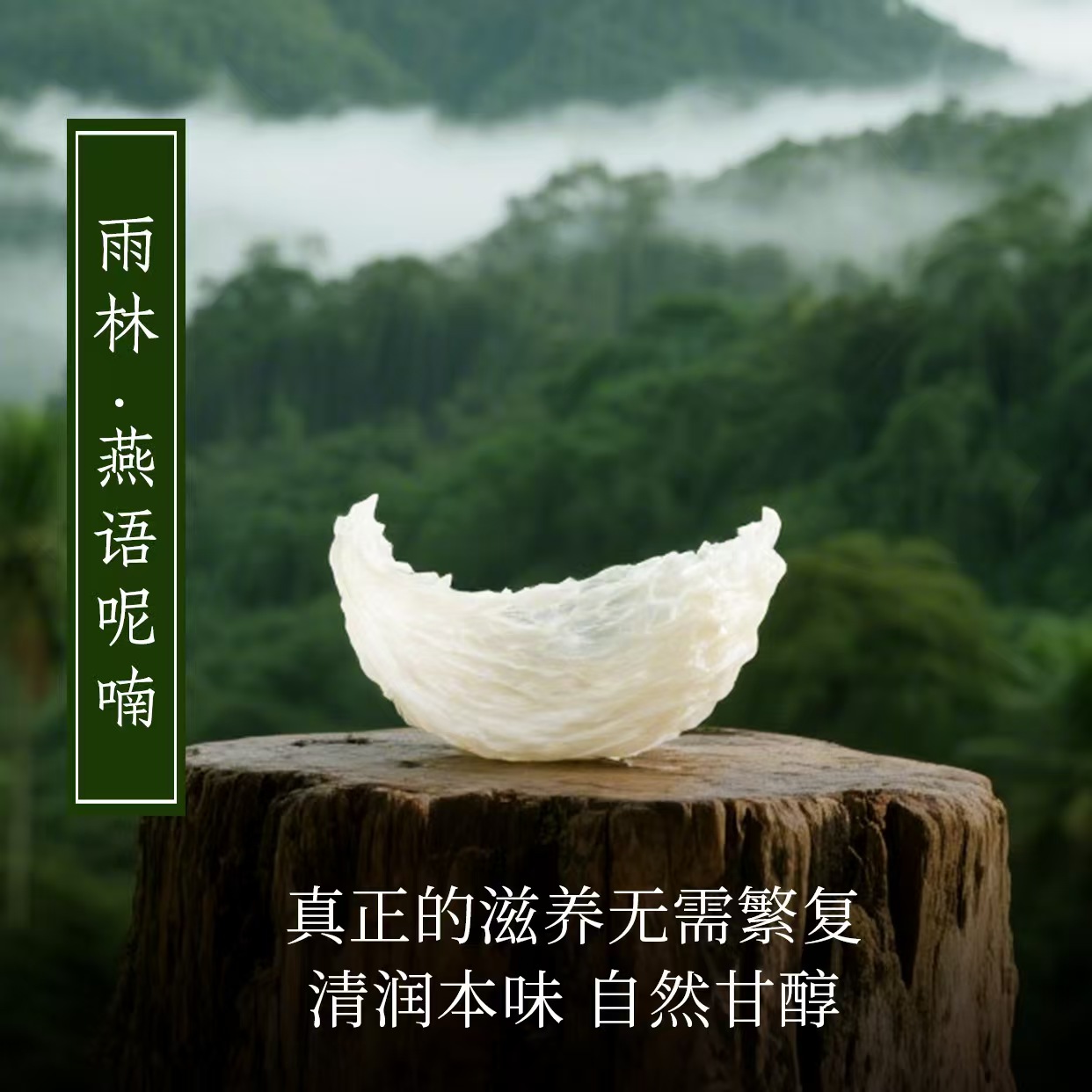 吉林干燕盏哪家靠谱插图1 吉林干燕盏哪家靠谱插图1