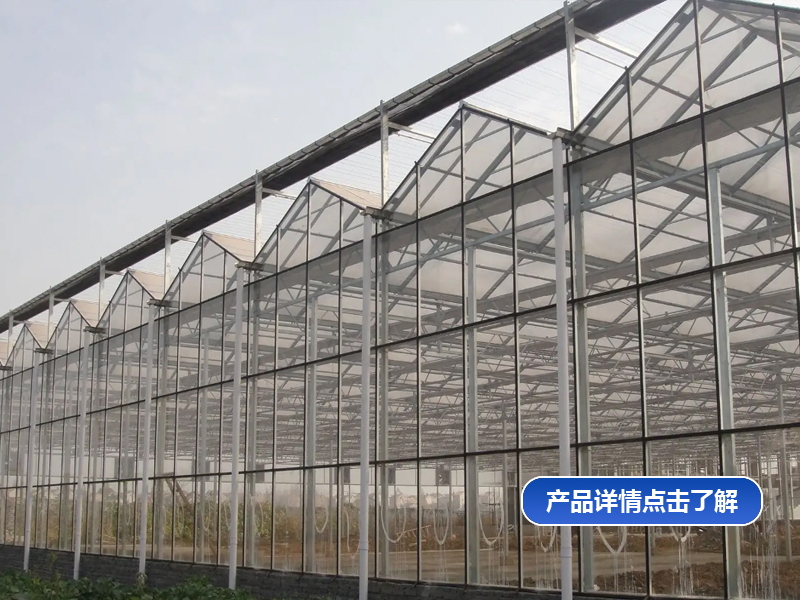 新型智能阳光板温室选型参考 含实际落地应用经验插图2 新型智能阳光板温室选型参考 含实际落地应用经验插图2