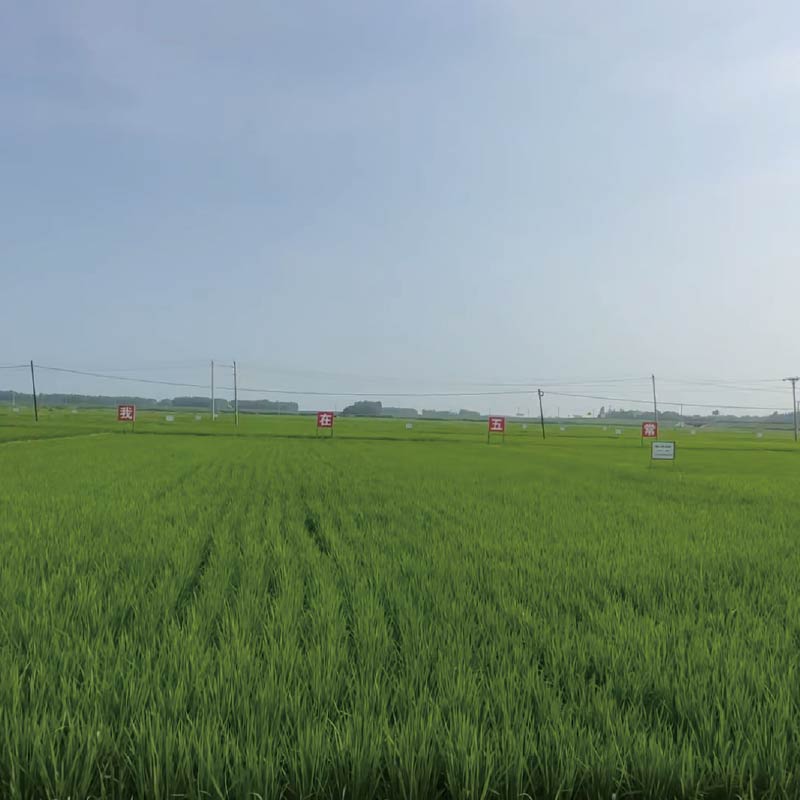 上海臻闲私茗日常品饮场景服务平台插图 上海臻闲私茗日常品饮场景服务平台插图