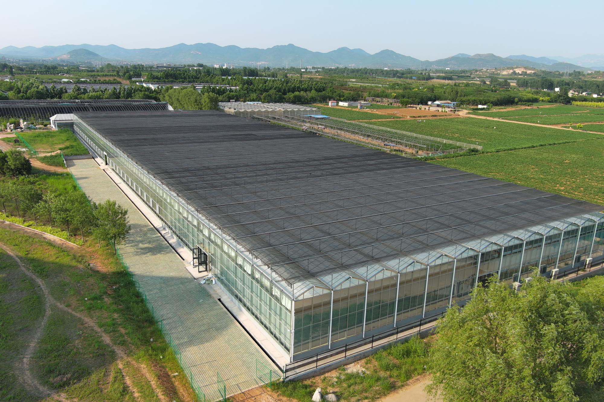 蔬菜连栋玻璃大棚的联络方式及应用参考插图1
