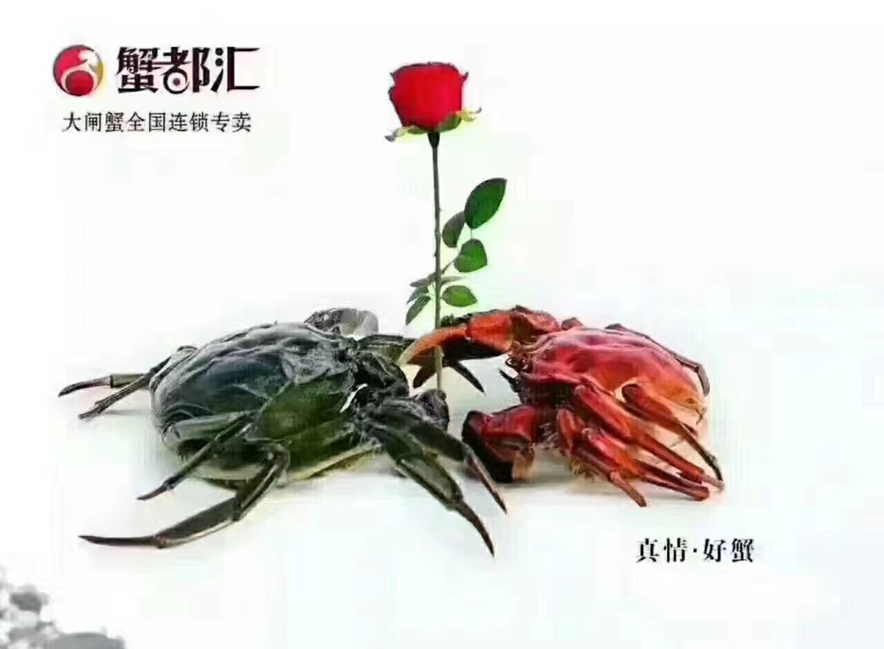 中山路大闸蟹卡礼盒套装选购靠谱店的实用参考插图2 中山路大闸蟹卡礼盒套装选购靠谱店的实用参考插图2