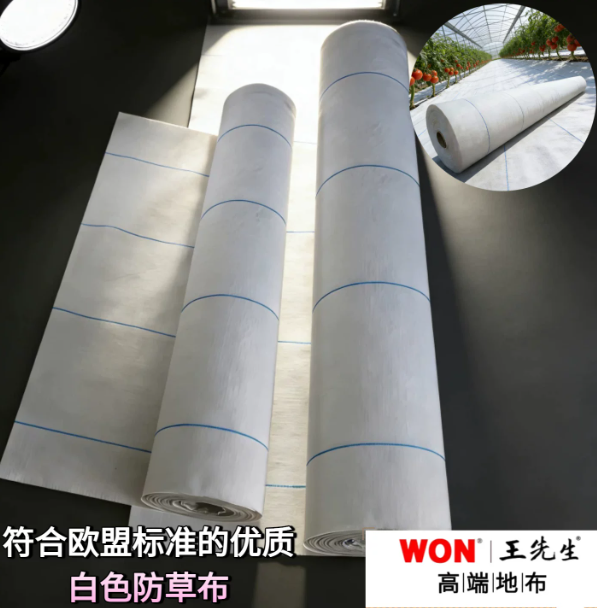 王先生(WON)品牌 阜新高端地布质量好的选择插图