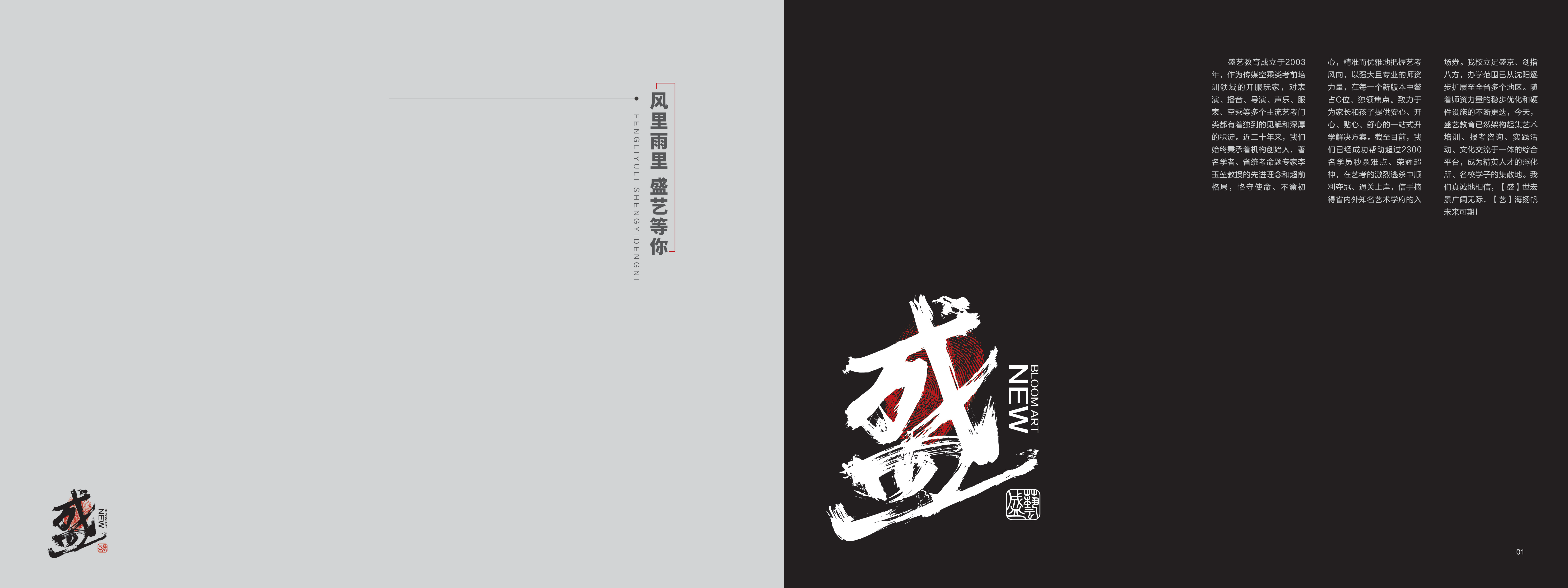 沈阳播音艺考选择盛艺艺考相关信息插图