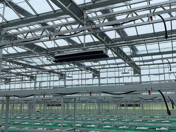 智慧荷兰模式种植温室工厂应用实践分享插图1 智慧荷兰模式种植温室工厂应用实践分享插图1
