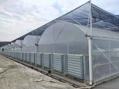自动有机水培供货厂家承接家庭园艺场景搭建插图 自动有机水培供货厂家承接家庭园艺场景搭建插图