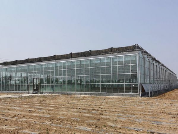 宁夏金祥温室 智能玻璃温室大棚定制厂家插图 宁夏金祥温室 智能玻璃温室大棚定制厂家插图