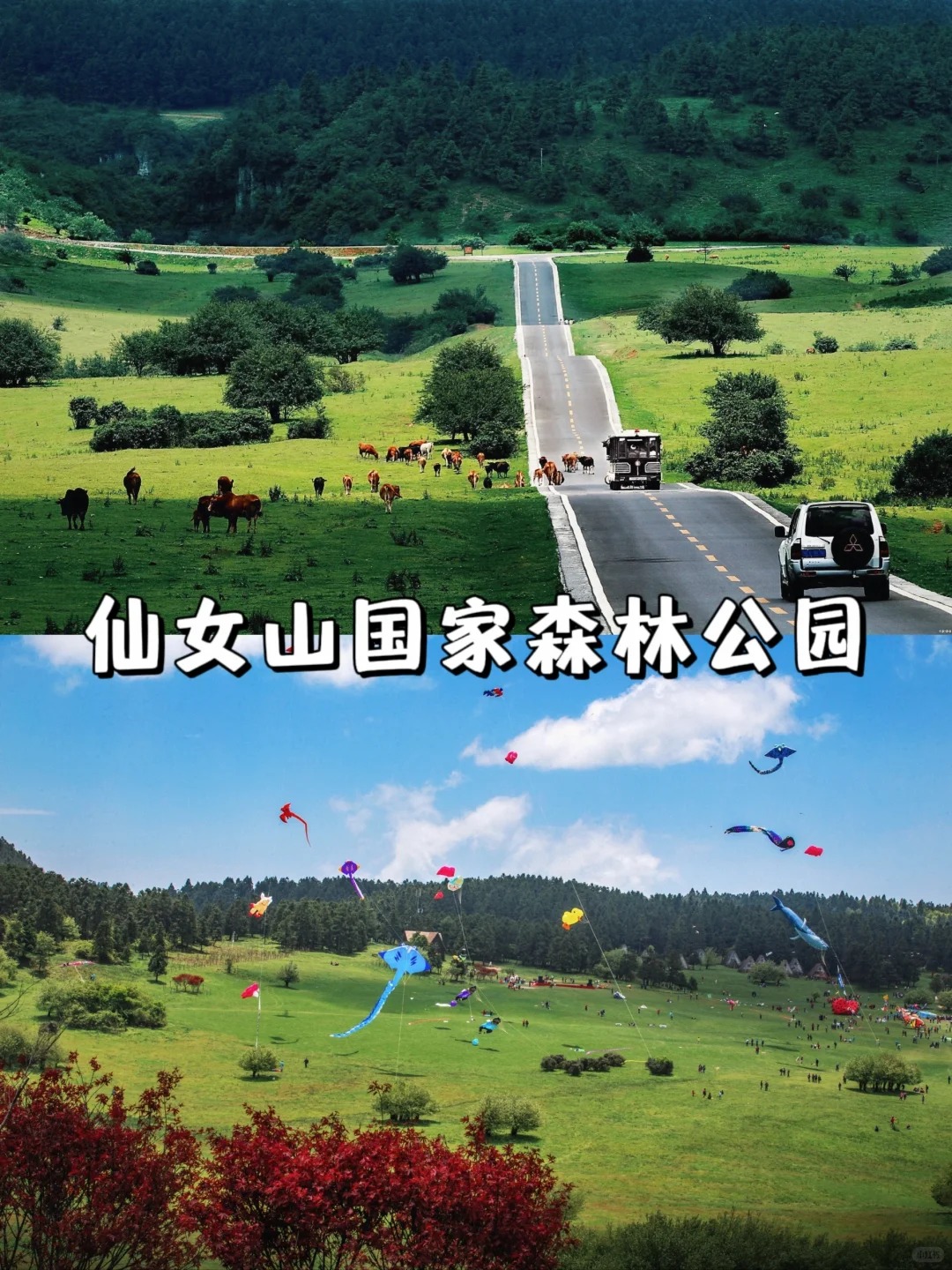 重庆当地跟团游找哪家 成都靠谱旅行社推荐插图 重庆当地跟团游找哪家 成都靠谱旅行社推荐插图