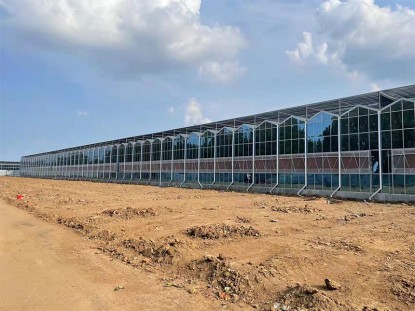 新型智能阳光板温室选型参考 含实际落地应用经验插图 新型智能阳光板温室选型参考 含实际落地应用经验插图