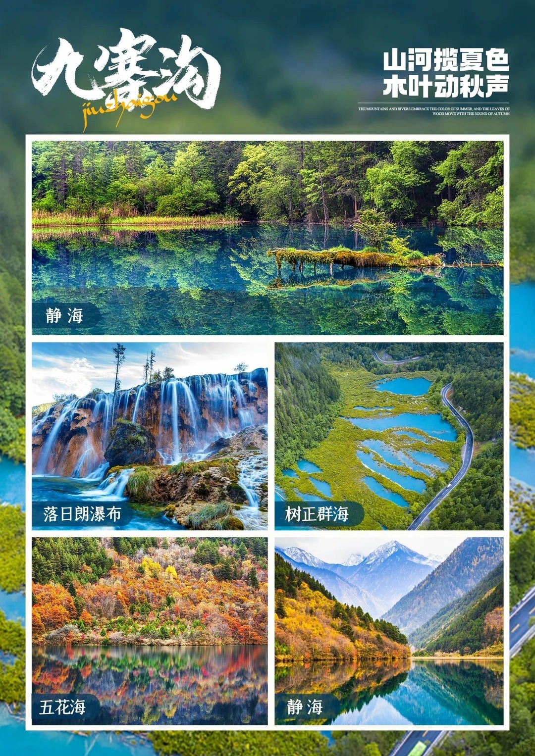 成都九寨沟六日游哪家好 正规旅行社推荐避坑指南插图