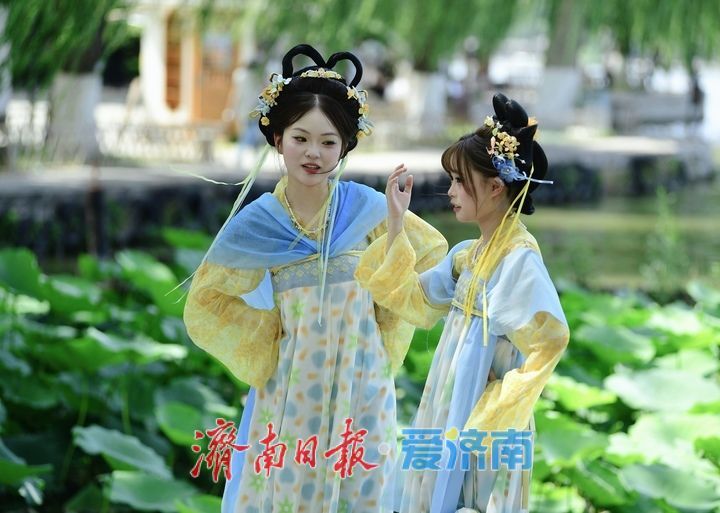 “荷”其有幸“香”约泉城，大明湖第一波荷花已绽放