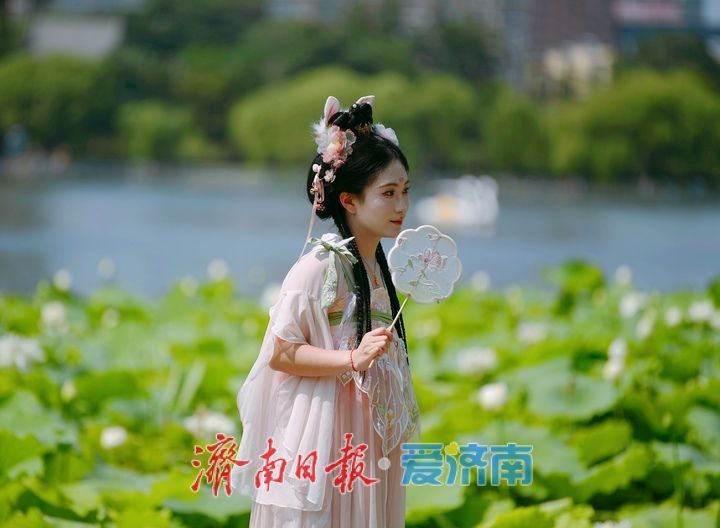 “荷”其有幸“香”约泉城，大明湖第一波荷花已绽放